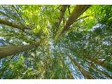 66020 Meissner Rd - Photo 36