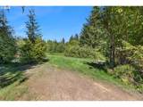 16565 Meinecke Rd - Photo 13