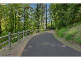 16565 Meinecke Rd - Photo 36