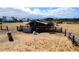 27434 Sanborn Ln - Photo 41