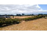 27434 Sanborn Ln - Photo 43