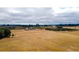 27434 Sanborn Ln - Photo 44