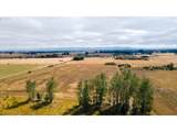 27434 Sanborn Ln - Photo 47