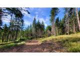  Northill Ranch Rd - Photo 10