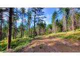  Northill Ranch Rd - Photo 11