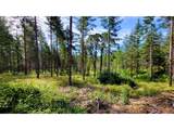  Northill Ranch Rd - Photo 12