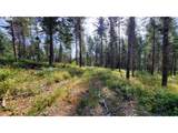  Northill Ranch Rd - Photo 13