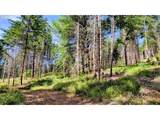  Northill Ranch Rd - Photo 14