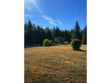 116 Mulkey Ln - Photo 10
