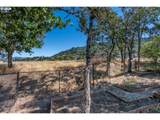 1480 Tarragon Dr - Photo 41
