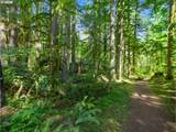 26811 Road 15 Lot 5 - Photo 42