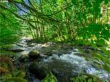 26811 Road 15 Lot 5 - Photo 47