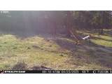 74576 Thompson Rd - Photo 47