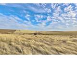 62722 Hart Rd - Photo 11