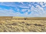 62722 Hart Rd - Photo 14