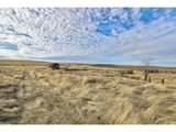 62722 Hart Rd - Photo 6
