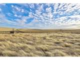 62722 Hart Rd - Photo 9