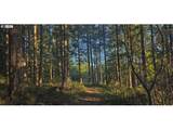 55240 Mcdonald Rd - Photo 10