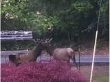 55240 Mcdonald Rd - Photo 14