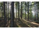 55240 Mcdonald Rd - Photo 9