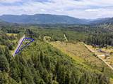 0 Lewis River Rd - Photo 6