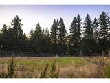 26487 Rein Rd - Photo 4