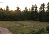 26487 Rein Rd - Photo 46