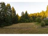26487 Rein Rd - Photo 47