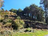  Deer Park Dr - Photo 11