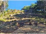  Deer Park Dr - Photo 12