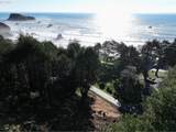 Deer Park Dr - Photo 15