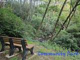  Deer Park Dr - Photo 24