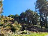  Deer Park Dr - Photo 7