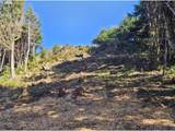  Deer Park Dr - Photo 8
