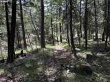 0 Kelly Springs - Photo 14