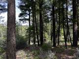 0 Kelly Springs - Photo 16