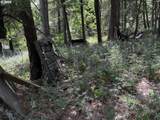 0 Kelly Springs - Photo 28