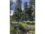 0 Kelly Springs - Photo 8