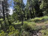 0 Kelly Springs - Photo 9
