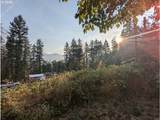 48391 Roberts Rd - Photo 19