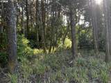 1 Lower Four Mile - Photo 6