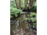 82467 Crowder Rd - Photo 20