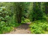 20736 Highway 42 - Photo 38