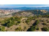  Buckhorn Rd - Photo 10