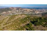  Buckhorn Rd - Photo 11