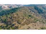  Buckhorn Rd - Photo 13