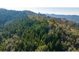  Buckhorn Rd - Photo 15