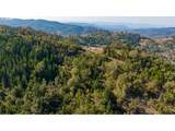  Buckhorn Rd - Photo 16