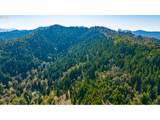  Buckhorn Rd - Photo 18