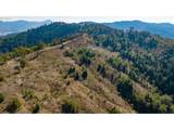  Buckhorn Rd - Photo 19